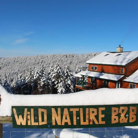 קלונה Wild Nature B&B מראה חיצוני תמונה