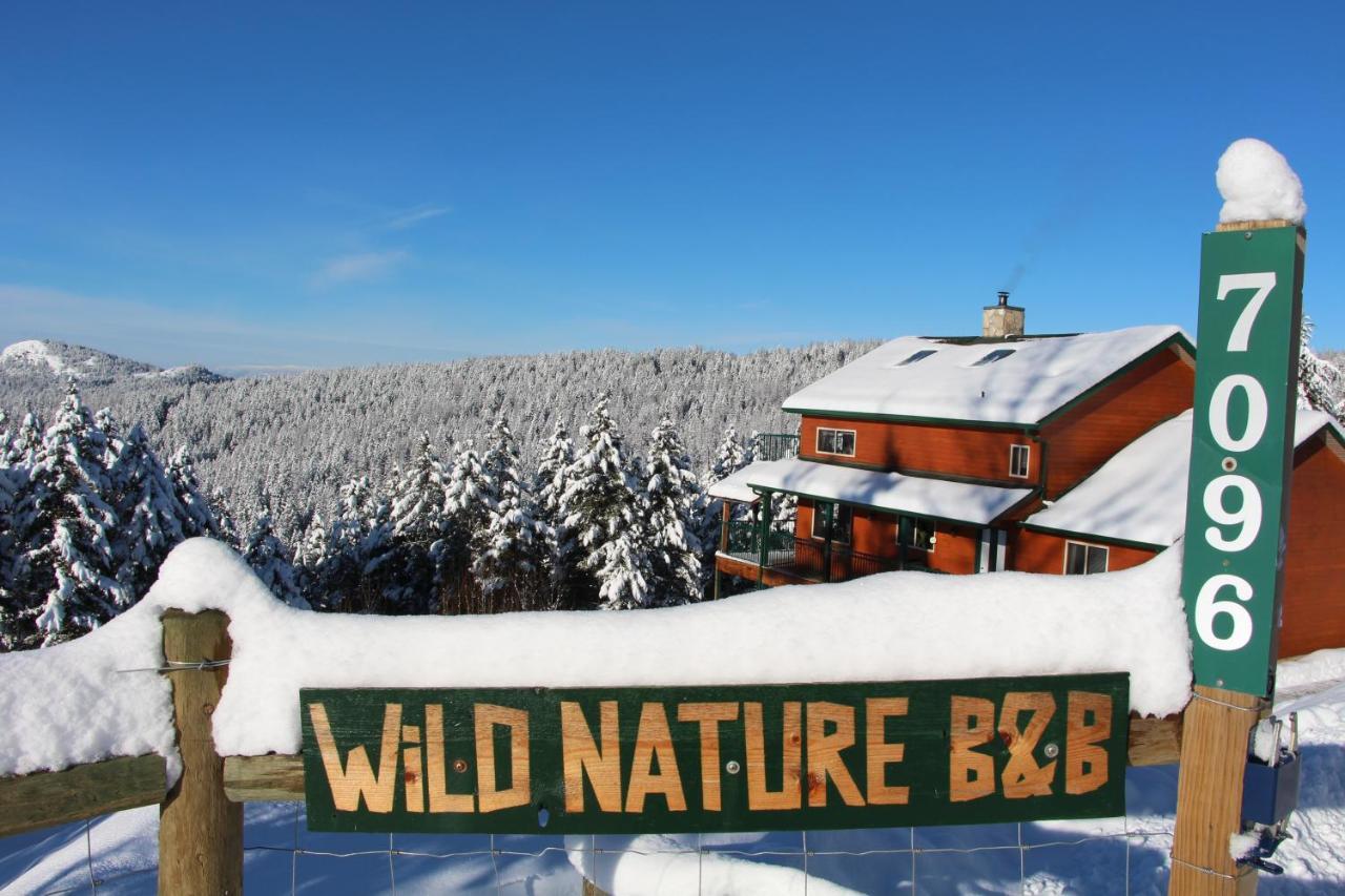 קלונה Wild Nature B&B מראה חיצוני תמונה