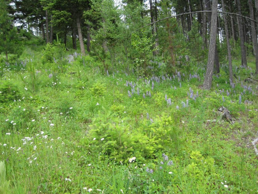 קלונה Wild Nature B&B מראה חיצוני תמונה